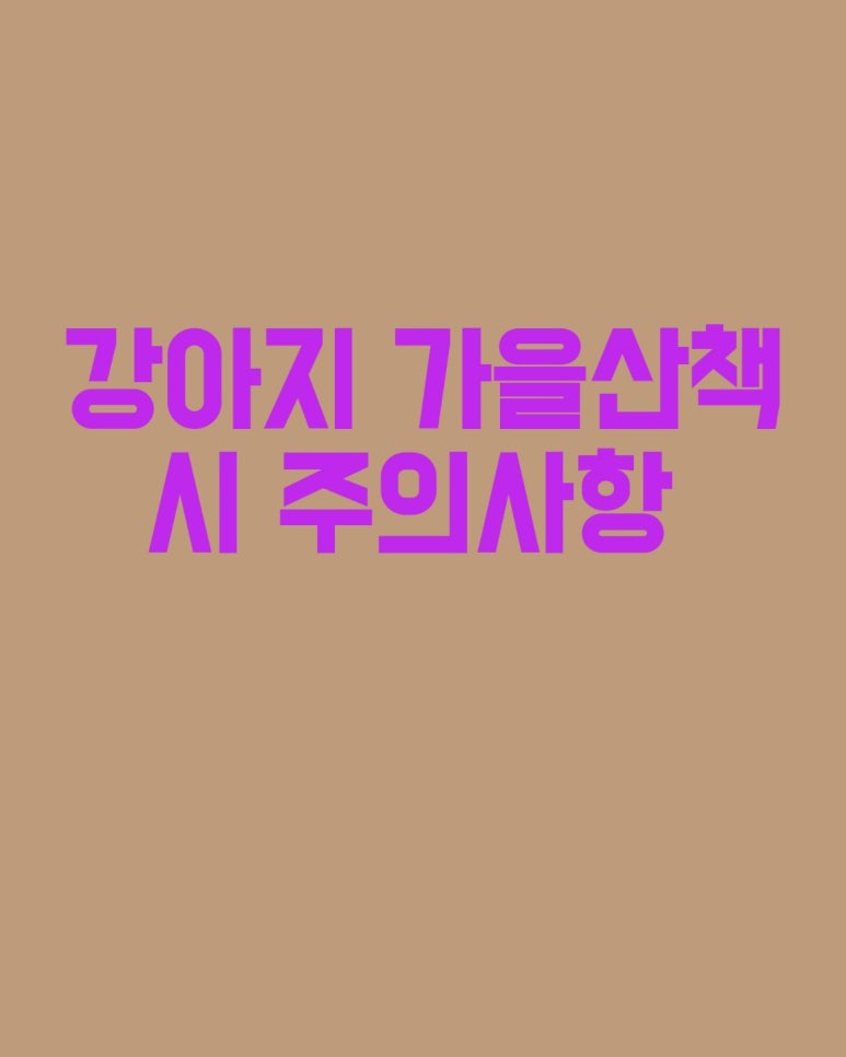강아지 가을산책 시 주의사항