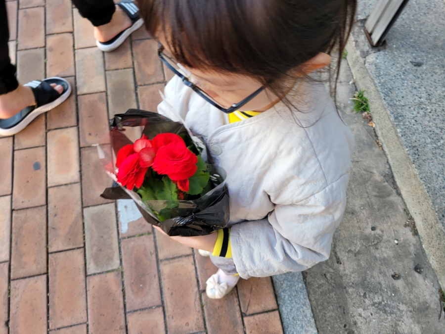 대지꽃집 이미지