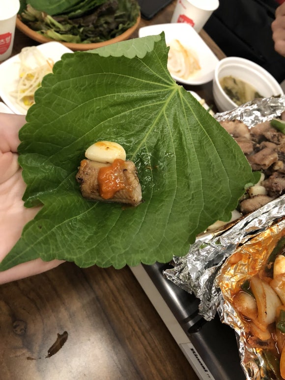 바다산곰장어 이미지