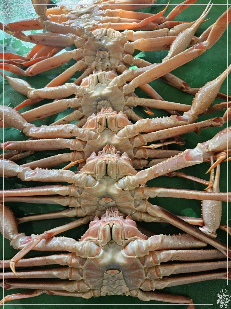 소영횟집 이미지