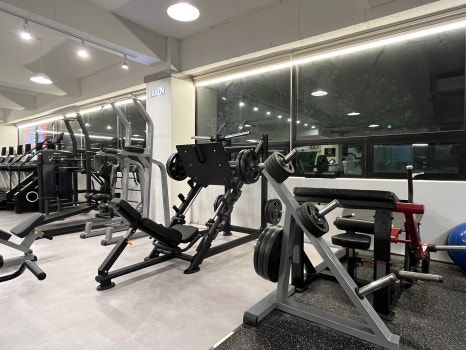 BodyMasterGym 이미지