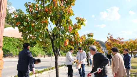 영동연탄 이미지