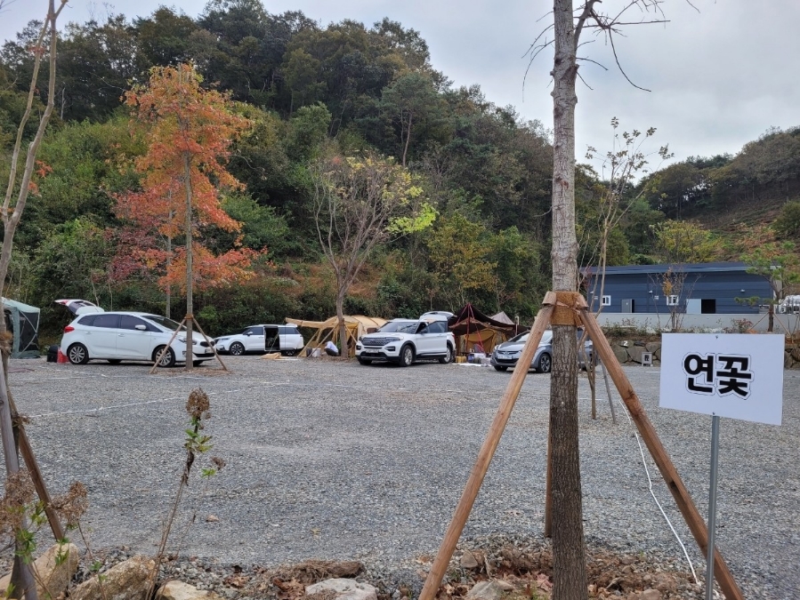 연꽃자리캠핑타운 이미지