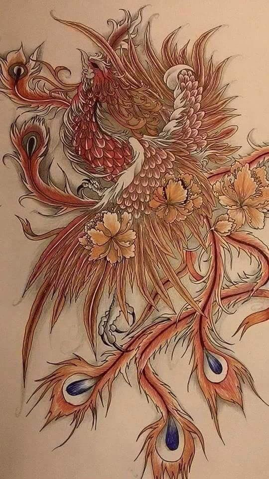 피닉스 이미지