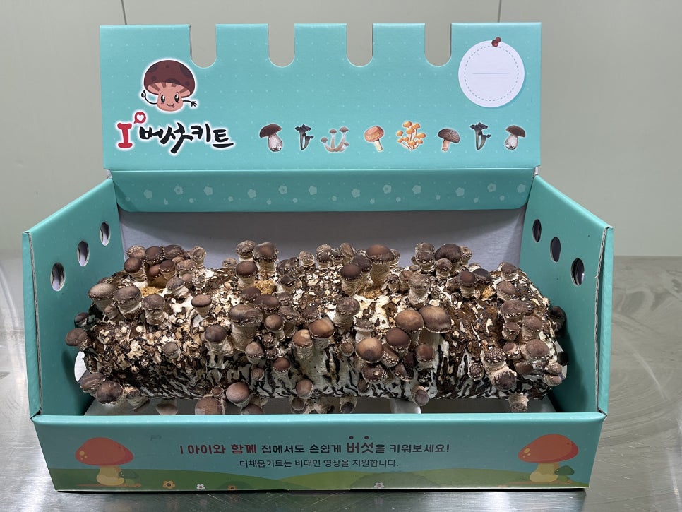 오늘더채움 이미지