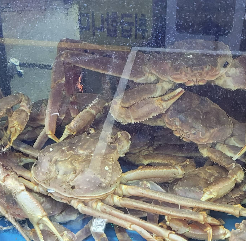 맛나라횟집 이미지