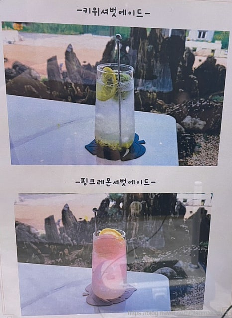 카페인 분재 이미지