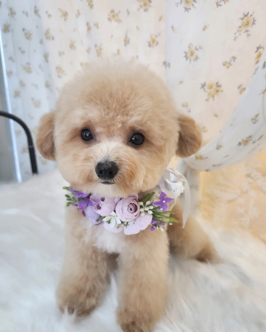 호텔아이린시티 이미지