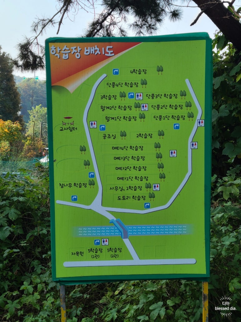청계천연염색장 이미지