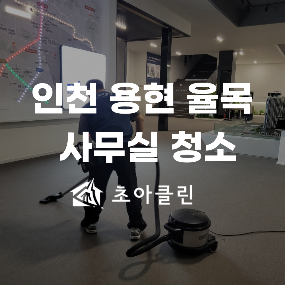 초아클린 이미지