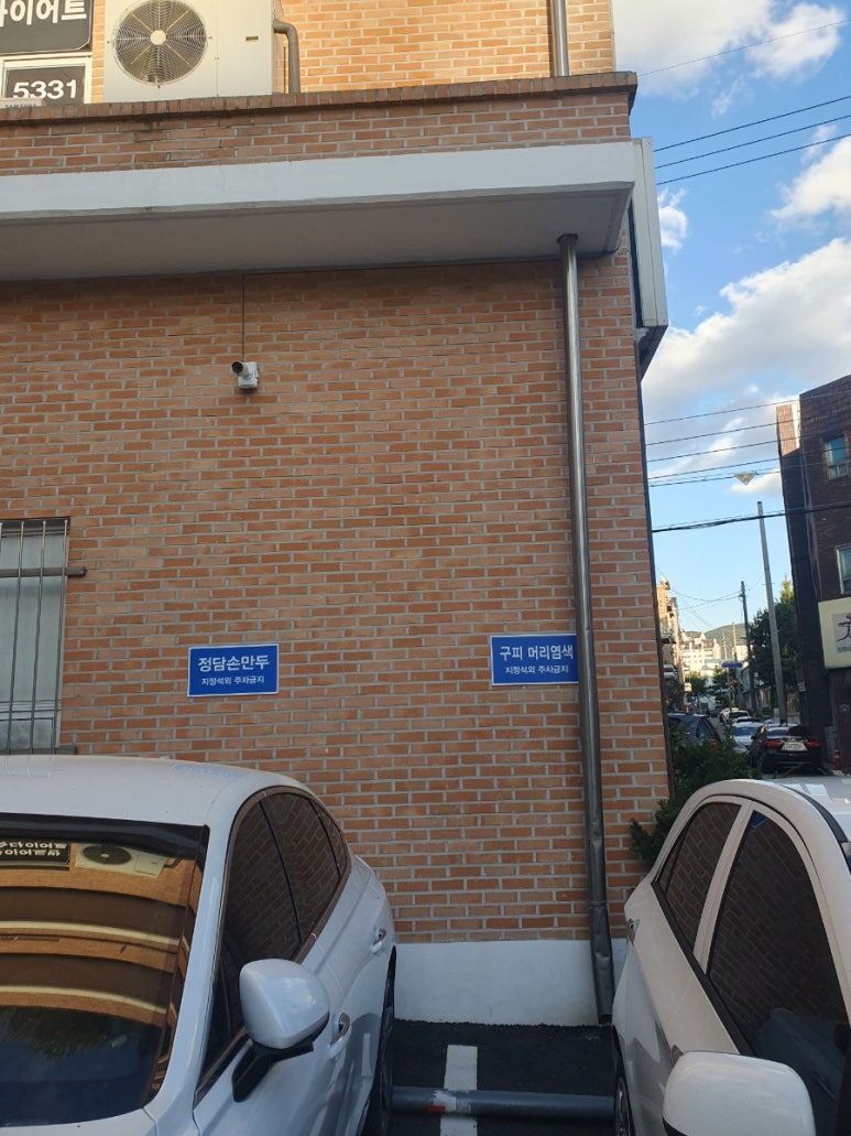 구피샵청주 이미지