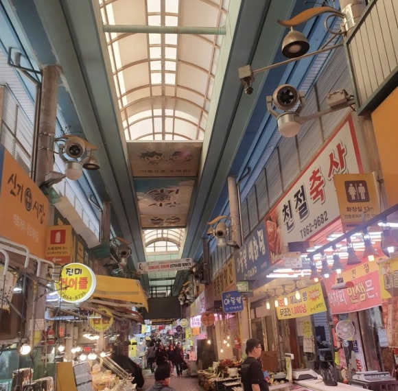 닥터파인드 이미지