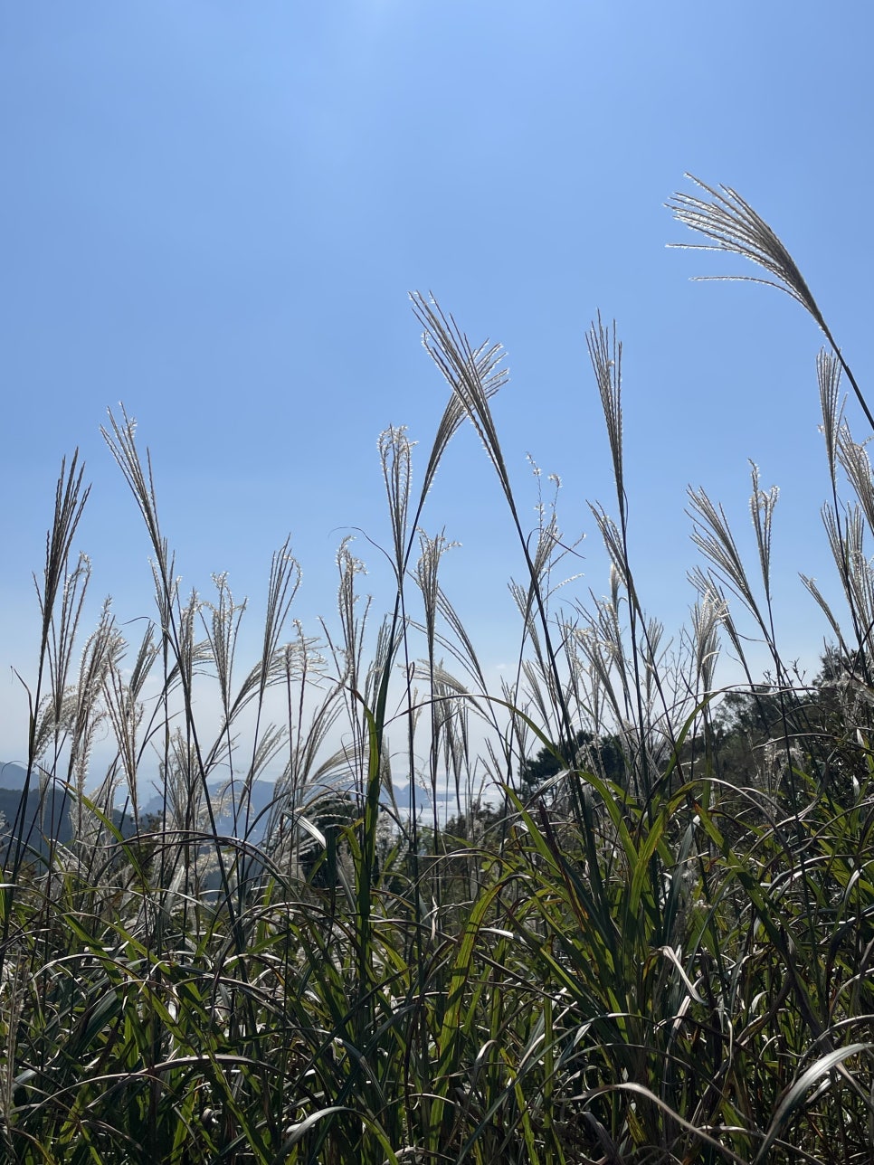 착한밥집 이미지