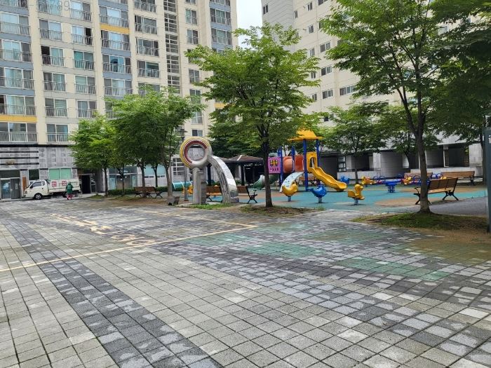 스타501 이미지