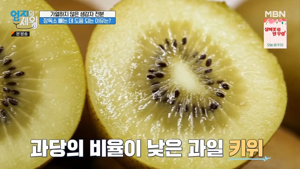 제왕장 이미지