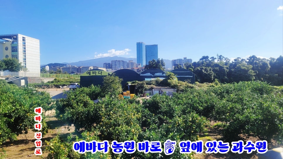 에바다가구 이미지