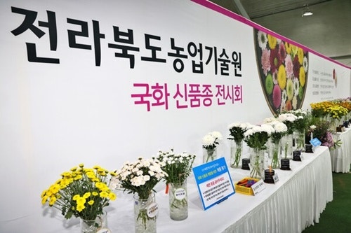 국화통신 이미지