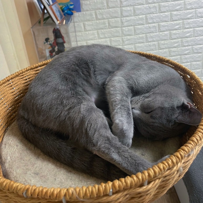 윤투어 이미지