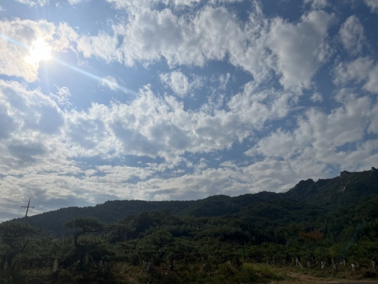 달마지 복지센터 이미지