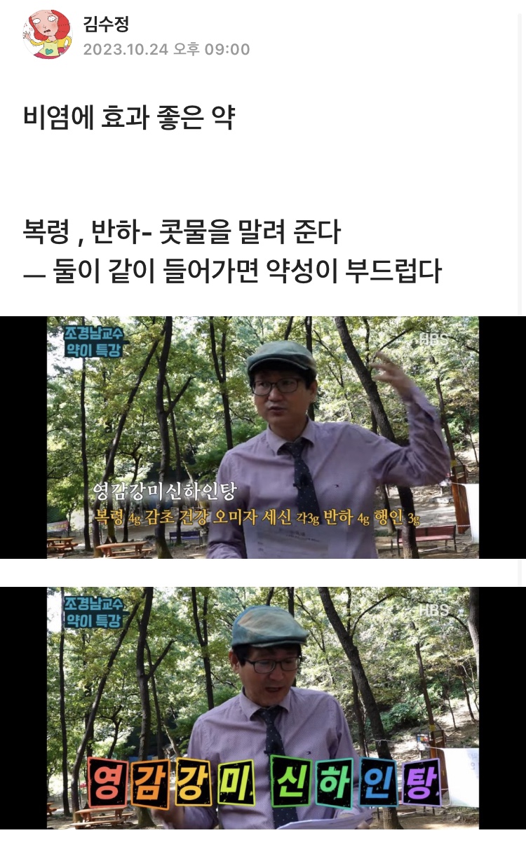 비채원 이미지