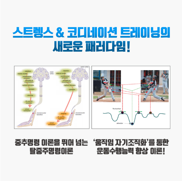 스프린트PT 이미지