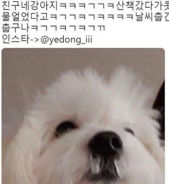 구월팔일 이미지