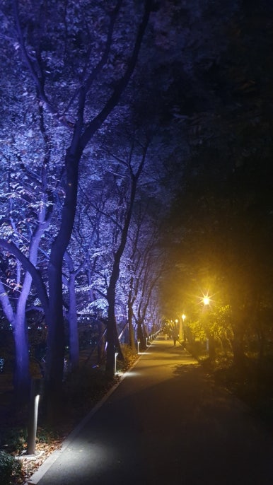 (주)함경도 찹쌀순대 이미지