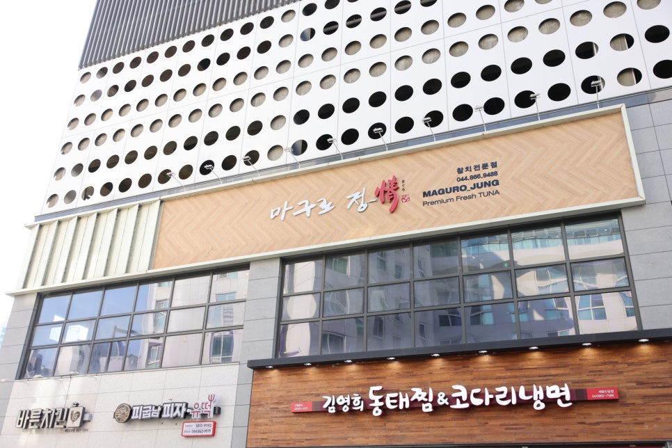 세종참치 이미지