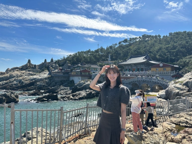 프레누 이미지