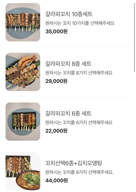 갈라파꼬치 이미지