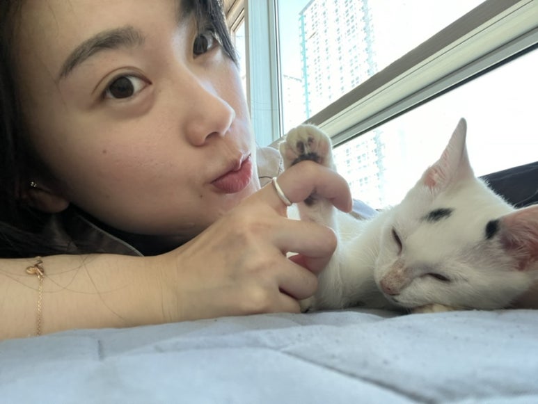 새또미 이미지