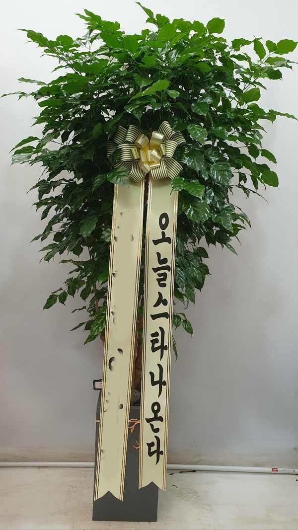 유정 Flower 이미지