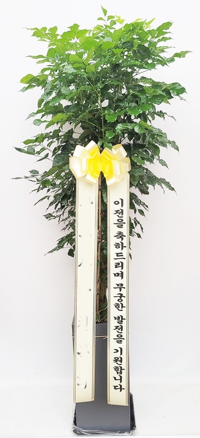유정 Flower 이미지