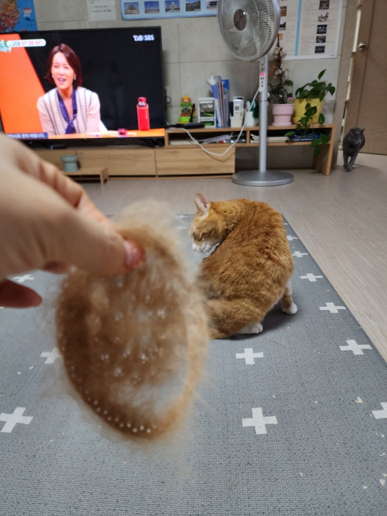 노랑통닭 아산둔포점 이미지