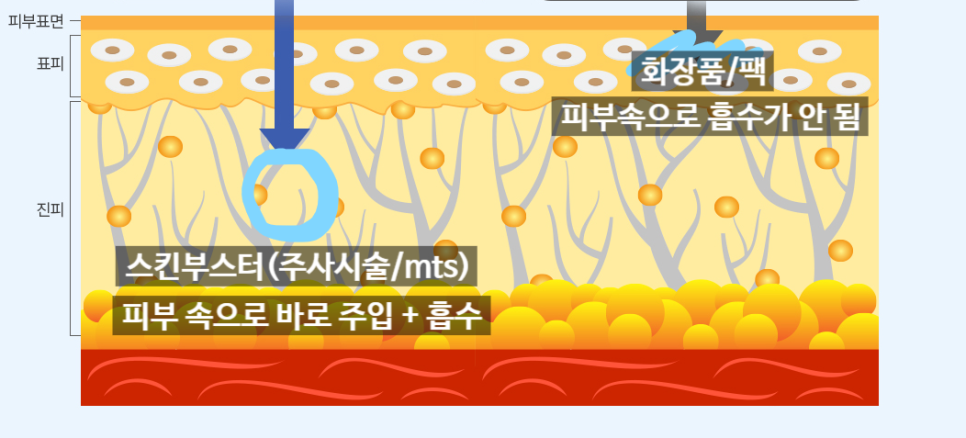 본피부과 이미지