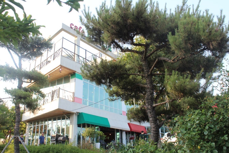 파라디조 이미지