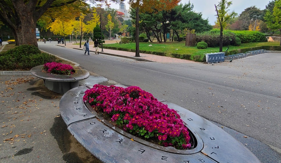 서문독서실 이미지