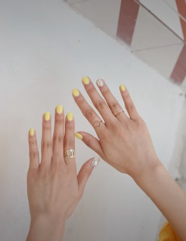 제일아트비젼 이미지