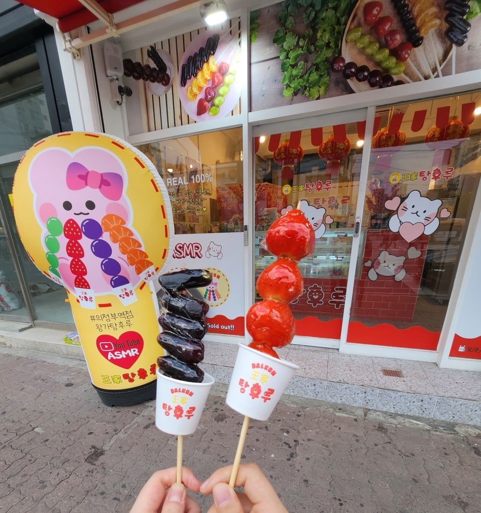 돼지당 이미지