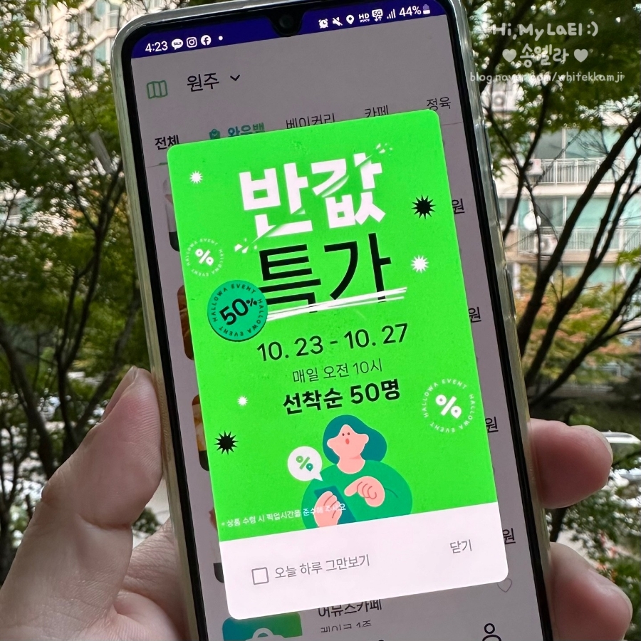 천일청과 이미지
