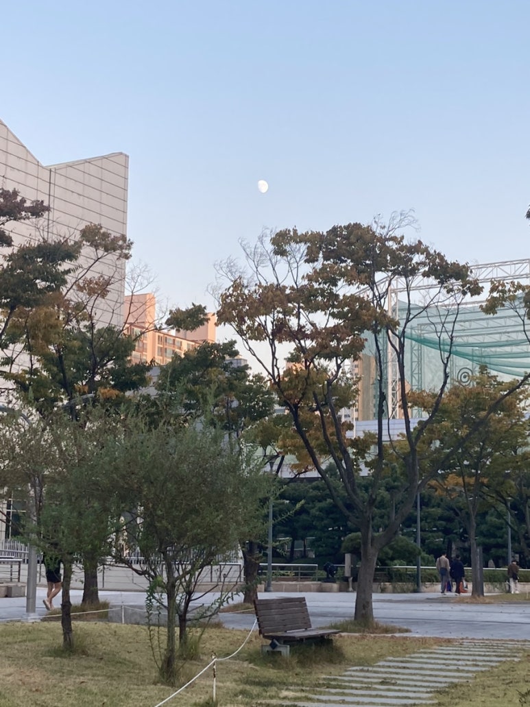다이아거날써츠 이미지