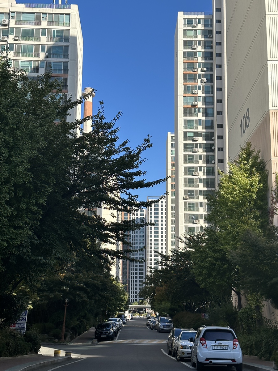보성황실시장 이미지