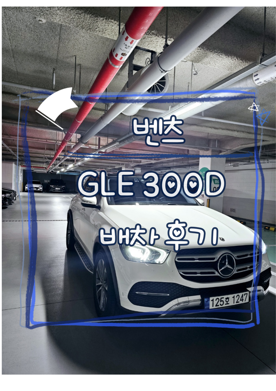 씨엔에스렌터카 이미지