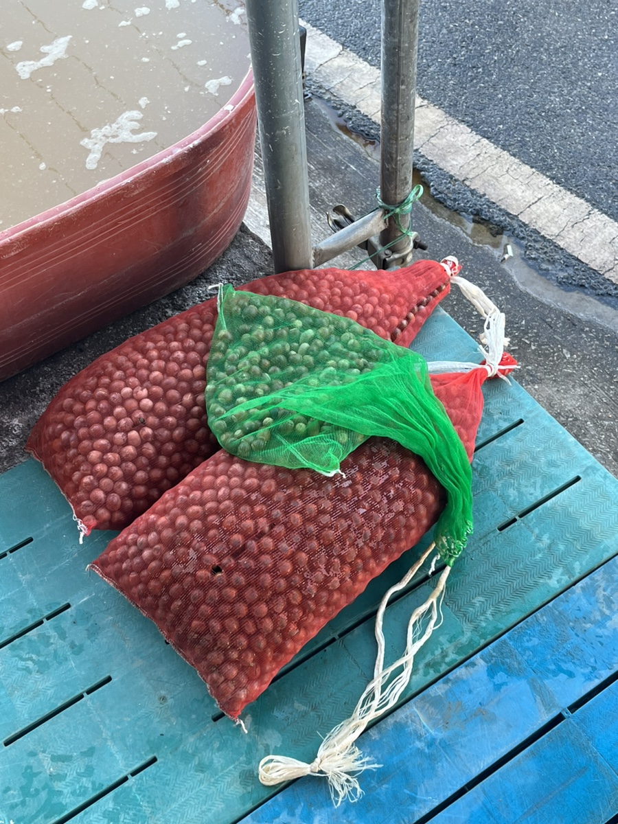 더밤농산 이미지