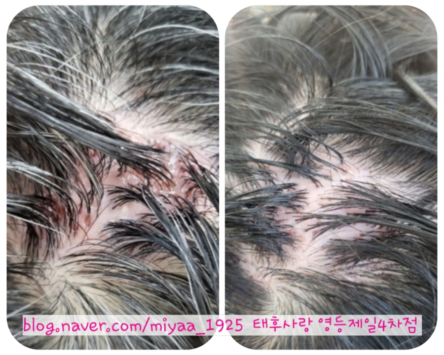 태후사랑 영등제일4차점 이미지