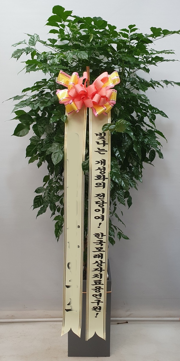 유정 Flower 이미지
