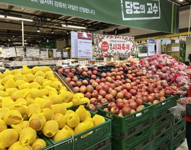 보은도원대추 이미지