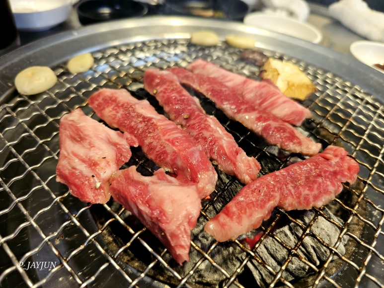 순한우암소한마리 이미지