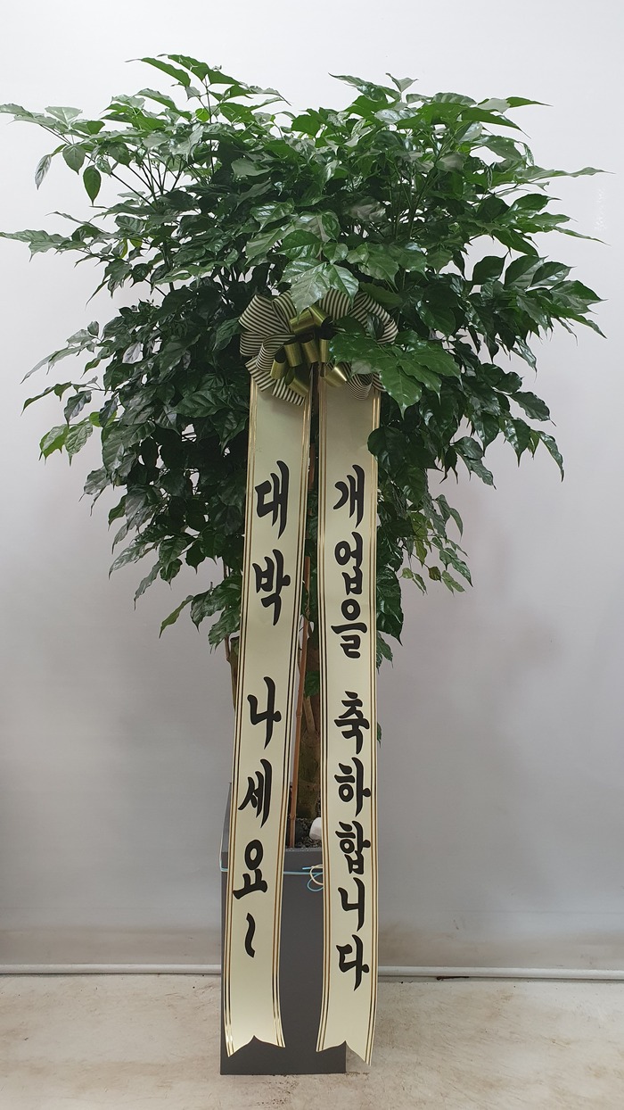유정 Flower 이미지