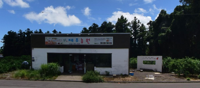 제주890 이미지